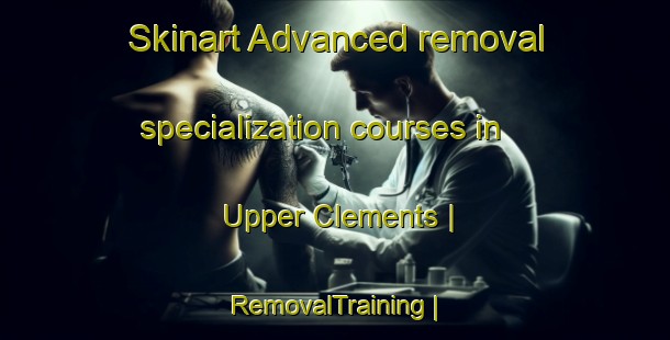 Skinart Advanced removal specialization courses in Upper Clements | RemovalTraining | RemovalClasses | SkinartTraining-Canada
